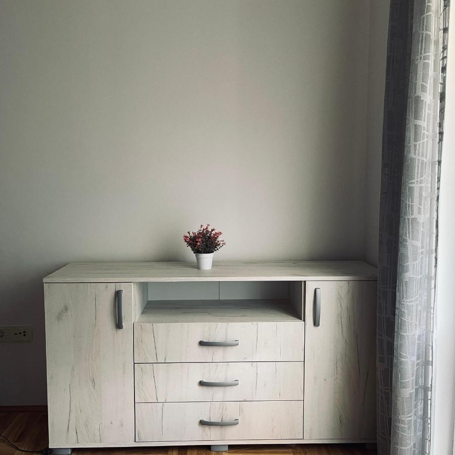 Zora Apartment Pluzine Bagian luar foto