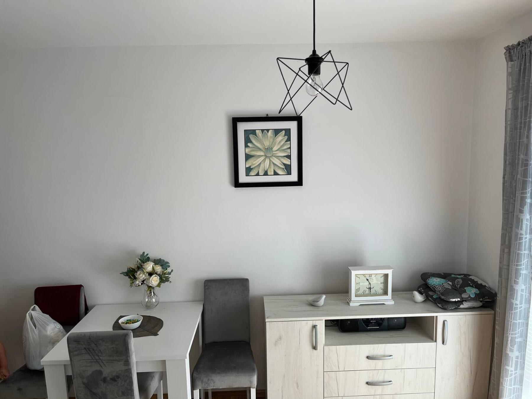 Zora Apartment Pluzine Bagian luar foto