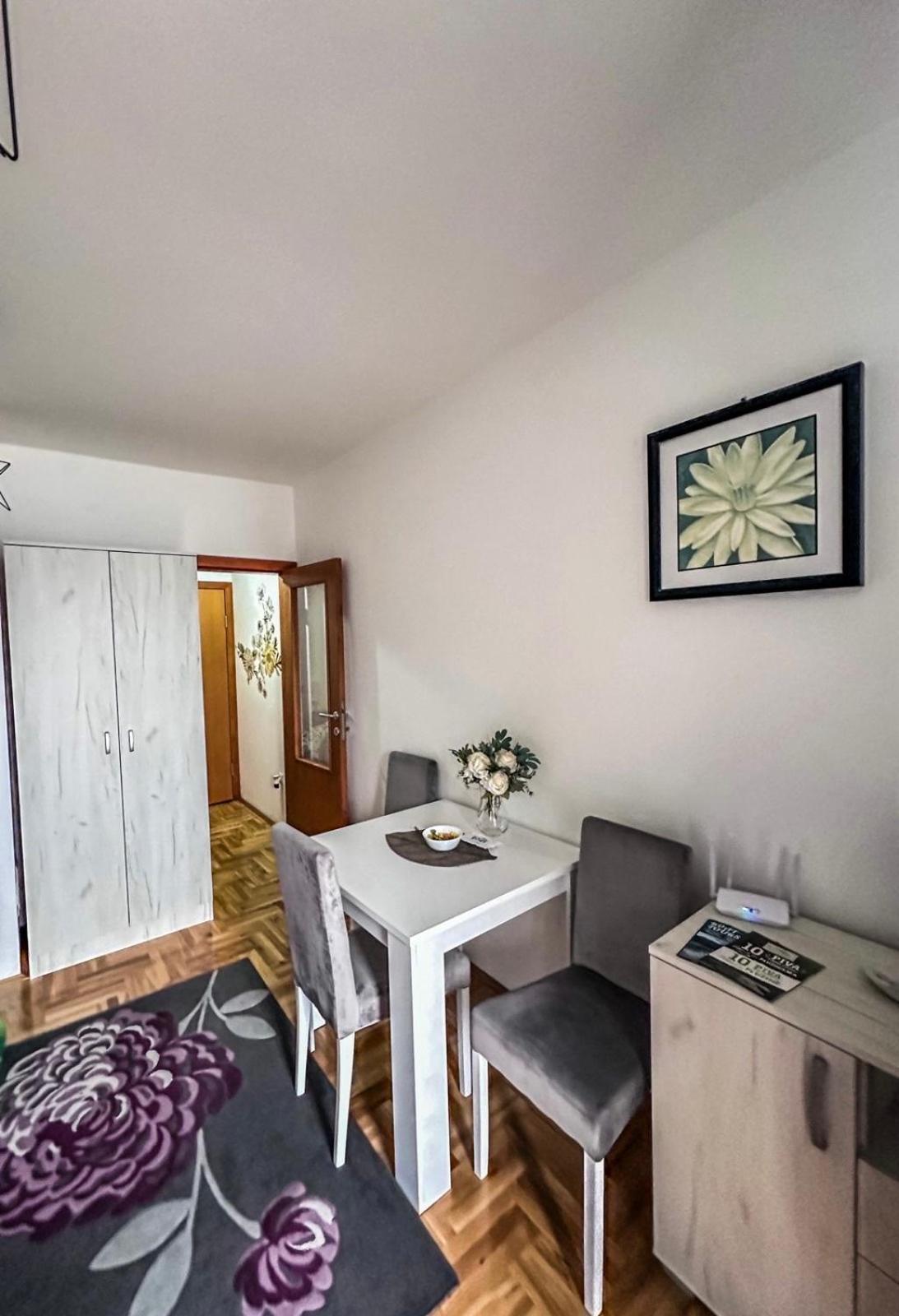 Zora Apartment Pluzine Bagian luar foto
